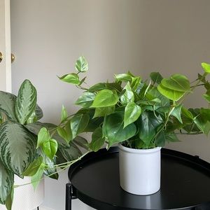 Threshold Faux Potted Plant